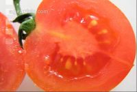 Tomate 3