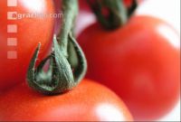 Tomate 2