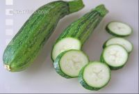 Zucchini 1