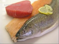 Frischfisch 2