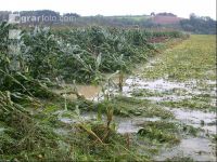 Soja Hochwasser 2