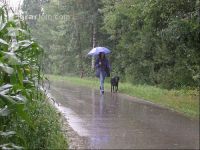 Regentag 4