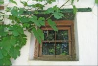 Kellerfenster