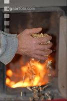 Hackschnitzel Feuer 2