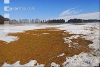 Schnee Schmelze 6
