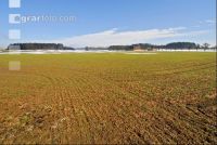 Schnee Schmelze 10
