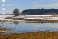 Schnee Schmelze 11