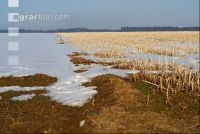 Schnee Schmelze 5