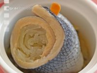 Rollmops 1