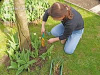 Gartenarbeit