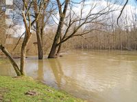 Hochwasser Donauau 8