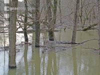 Hochwasser Donauau 6