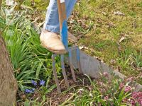 Dig out plants 1