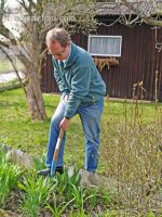 Dig out plants 2