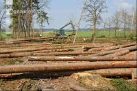 Forwarder 10