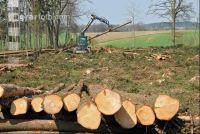 Forwarder 11