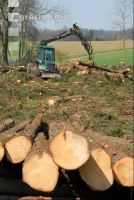 Forwarder 12