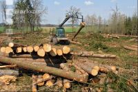 Forwarder 16