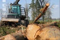 Forwarder 19