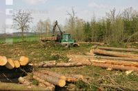 Forwarder 23
