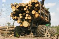 Forwarder 27