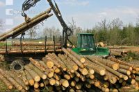 Forwarder 29