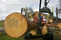 Holz laden 36