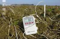 Bodentemperatur 2
