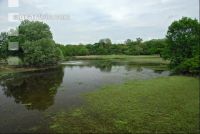 Sumpfland 1
