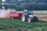 Erdbeeren einstreuen 2