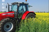 Rapsöl Traktor 1