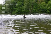 Fliegenfischer 2