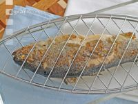 Fisch grillen 3