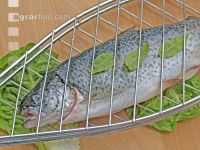 Fisch grillen 2