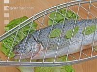 Fisch grillen 1