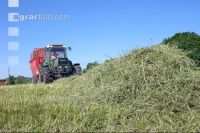 Grassilageernte Ladewagen 9