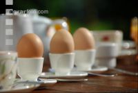 Frühstücksei 1