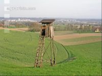 Hochstand 7