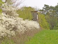 Hochstand 6
