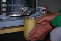 Cremehonig 3