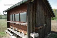 Bienenhütte 5