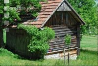 Bienenhütte 7