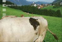 Beschissen