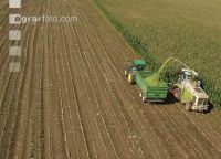 Corn chopping aerial 8