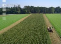 Corn chopping aerial 11