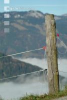 Nebel im Tal 11