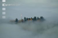 Nebelstimmung 1