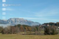 Nebelstimmung 5