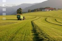 Silieren Krone 3