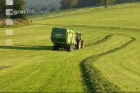 Silieren Krone 4